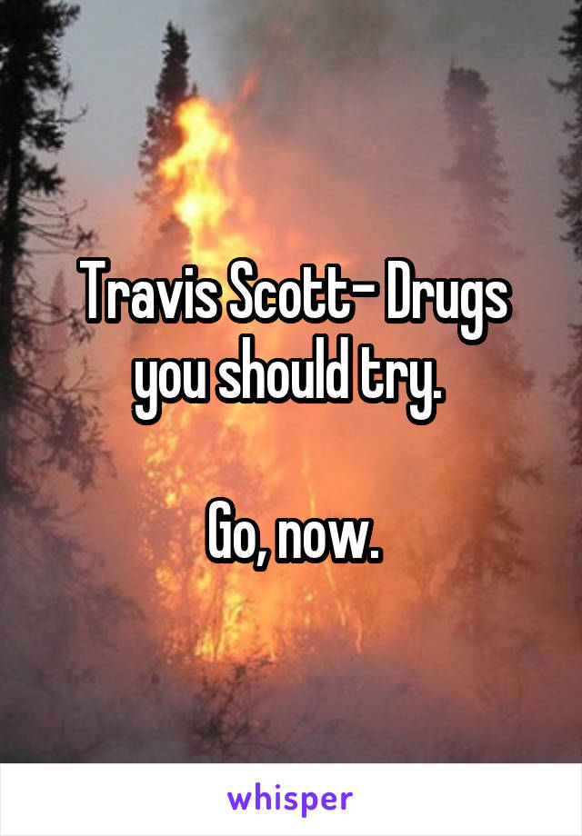 Travis Scott- Drugs you should try. 

Go, now.