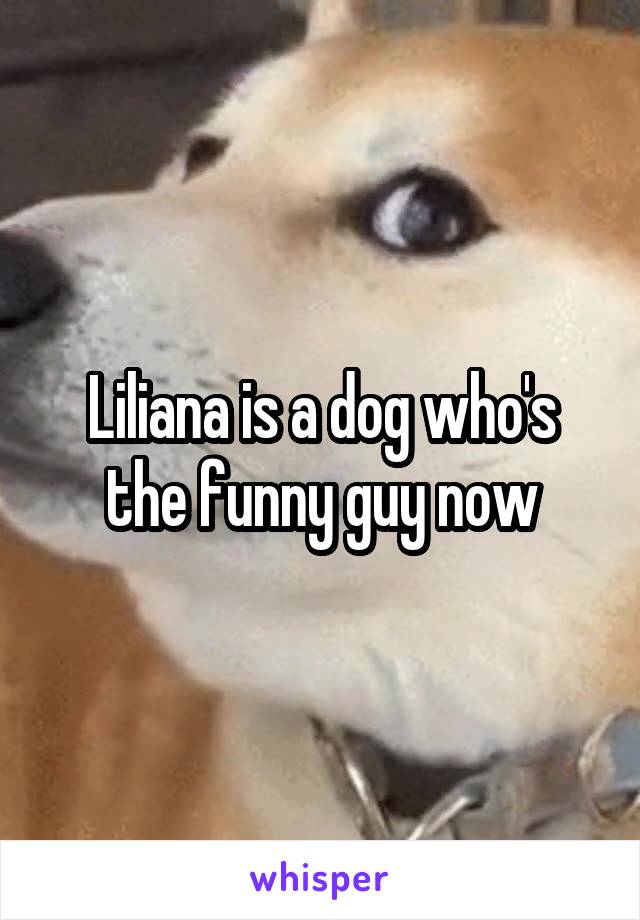 Liliana is a dog who's the funny guy now