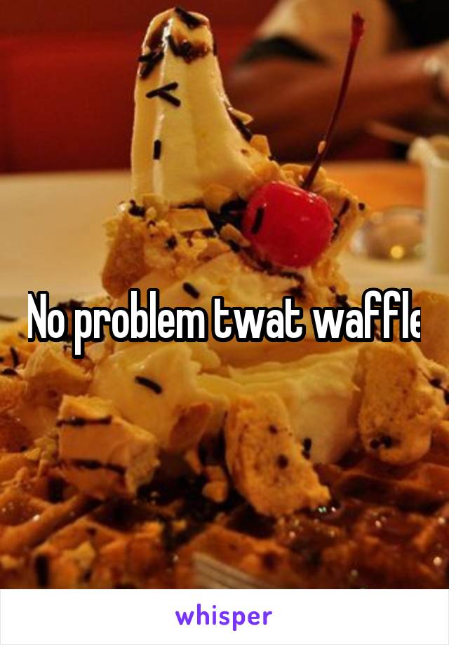 No problem twat waffle