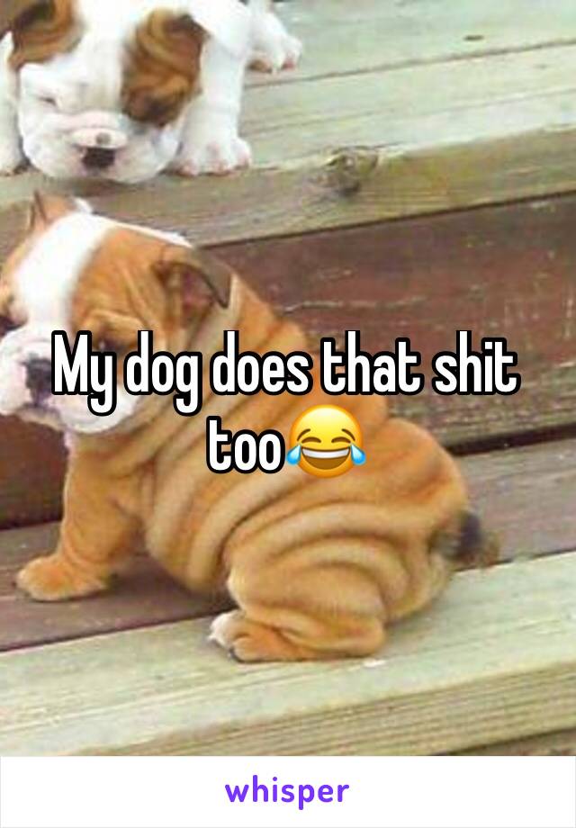 My dog does that shit too😂