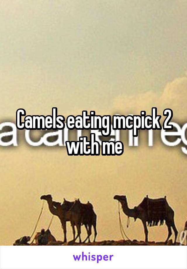 Camels eating mcpick 2 with me