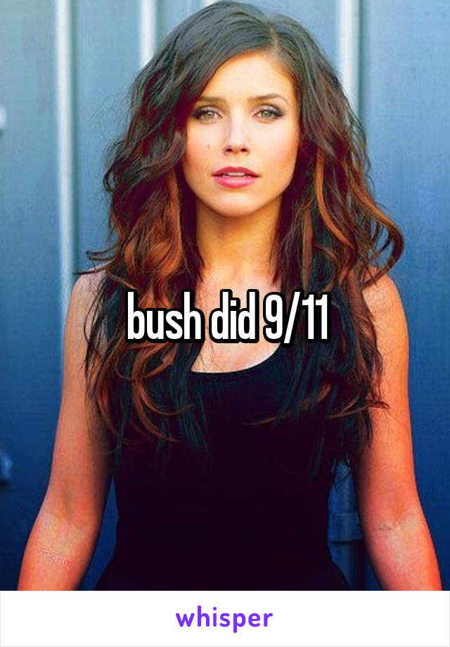 bush did 9/11