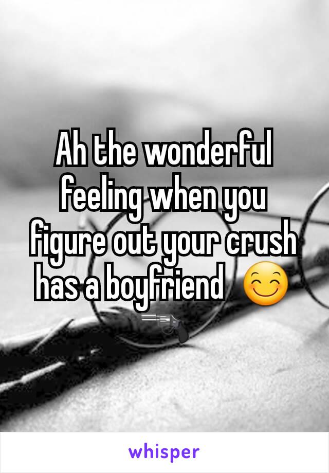 Ah the wonderful feeling when you figure out your crush has a boyfriend  😊🔫