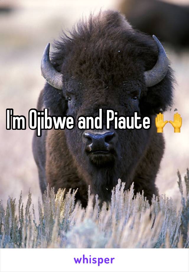 I'm Ojibwe and Piaute 🙌