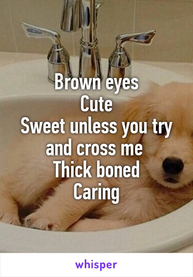 Brown eyes
Cute
Sweet unless you try and cross me 
Thick boned
Caring