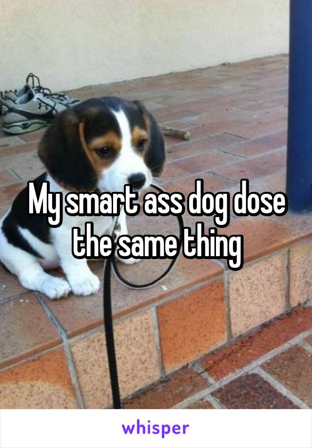 My smart ass dog dose the same thing