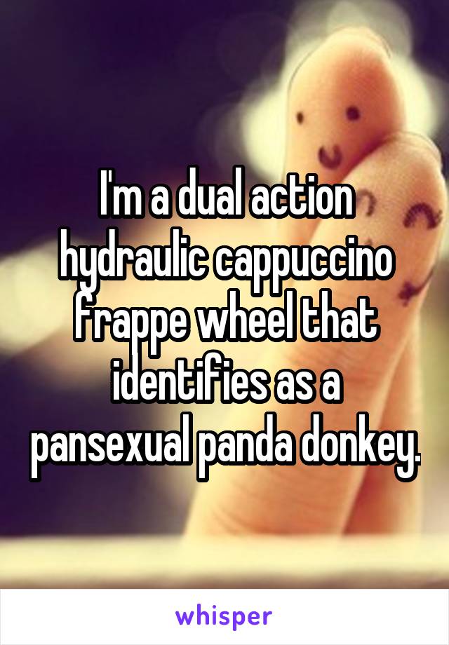 I'm a dual action hydraulic cappuccino frappe wheel that identifies as a pansexual panda donkey.
