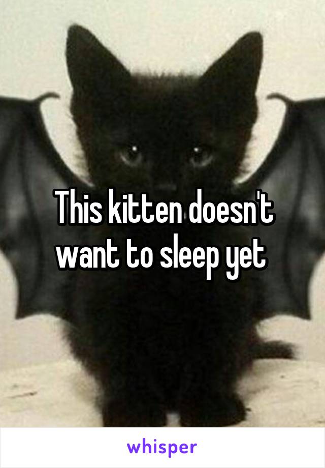 This kitten doesn't want to sleep yet 