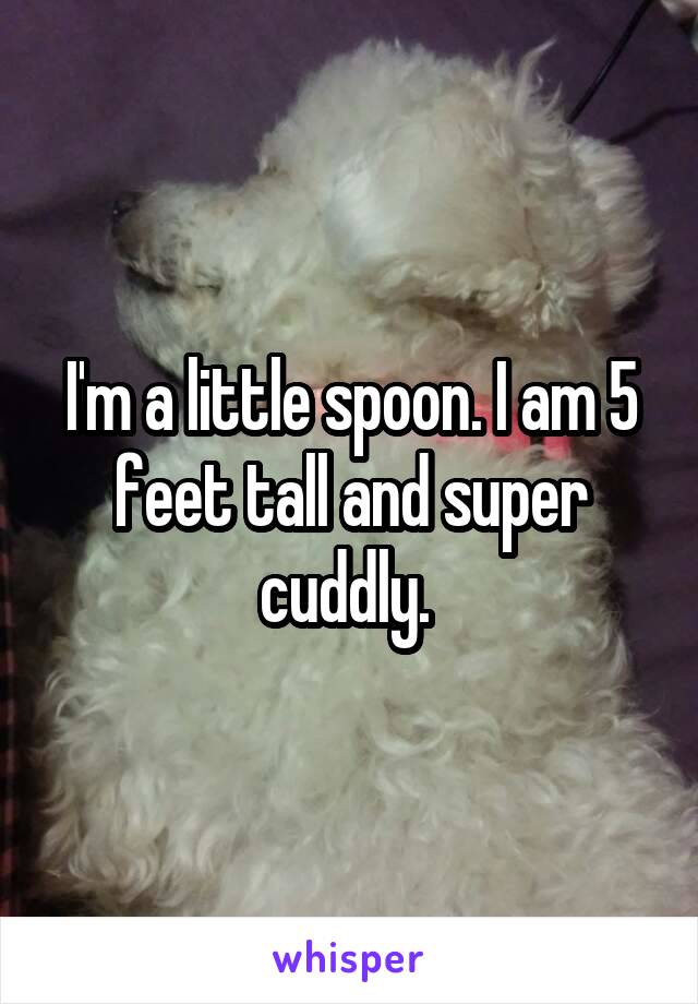 I'm a little spoon. I am 5 feet tall and super cuddly. 