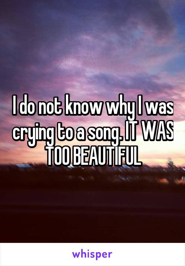 I do not know why I was crying to a song. IT WAS TOO BEAUTIFUL