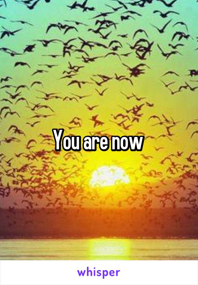 You are now 