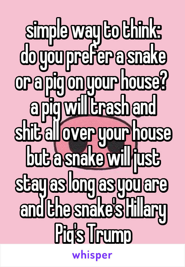 simple way to think:
do you prefer a snake or a pig on your house? 
a pig will trash and shit all over your house
but a snake will just stay as long as you are 
and the snake's Hillary
Pig's Trump