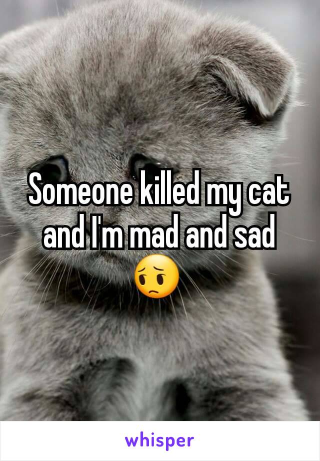 Someone killed my cat and I'm mad and sad 😔 