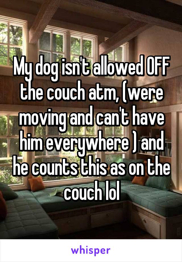 My dog isn't allowed OFF the couch atm, (were moving and can't have him everywhere ) and he counts this as on the couch lol