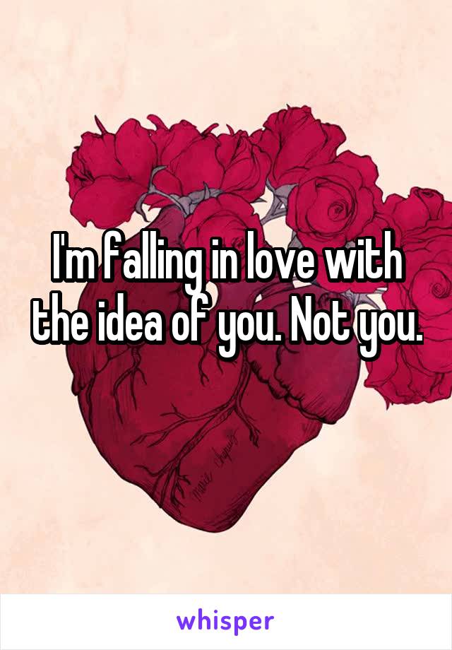 I'm falling in love with the idea of you. Not you. 