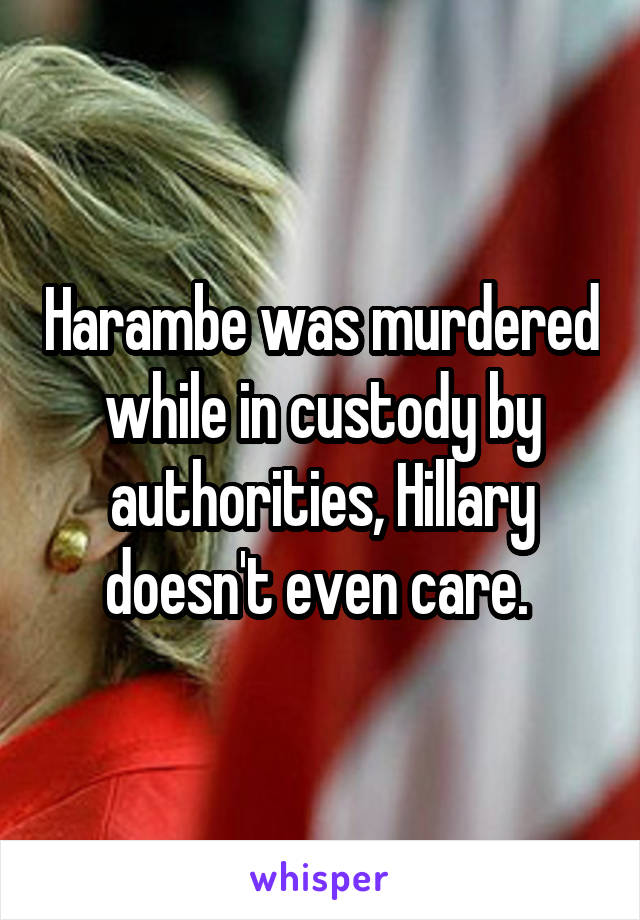 Harambe was murdered while in custody by authorities, Hillary doesn't even care. 