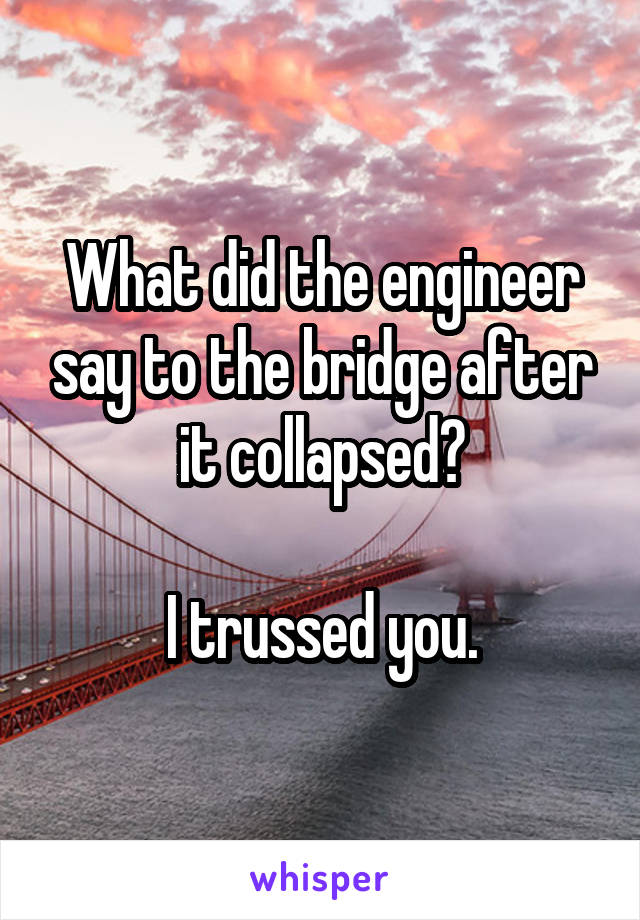 What did the engineer say to the bridge after it collapsed?

I trussed you.