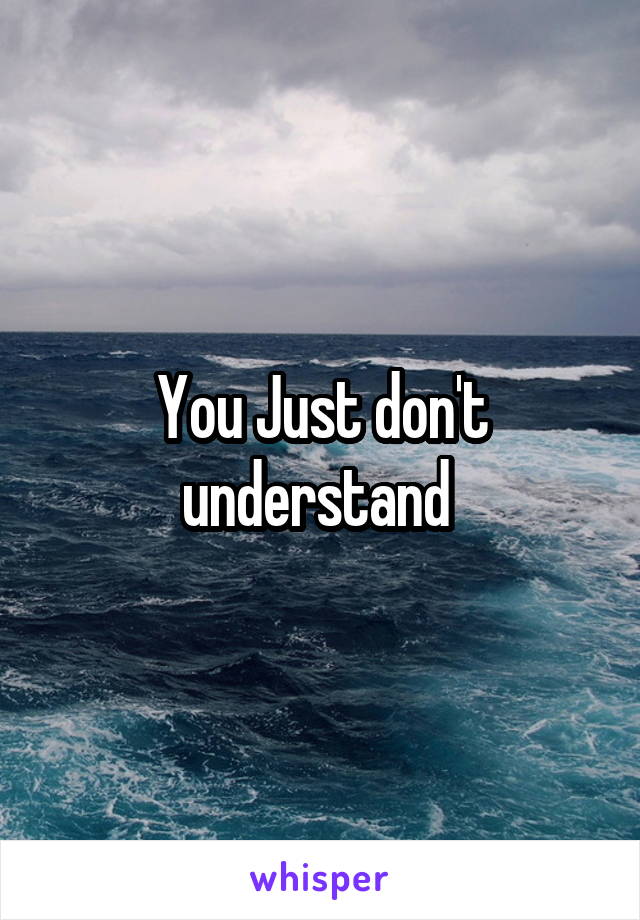 You Just don't understand 