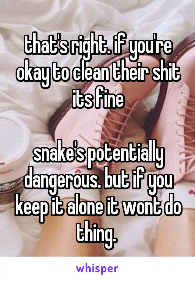 that's right. if you're okay to clean their shit its fine

snake's potentially dangerous. but if you keep it alone it wont do thing. 