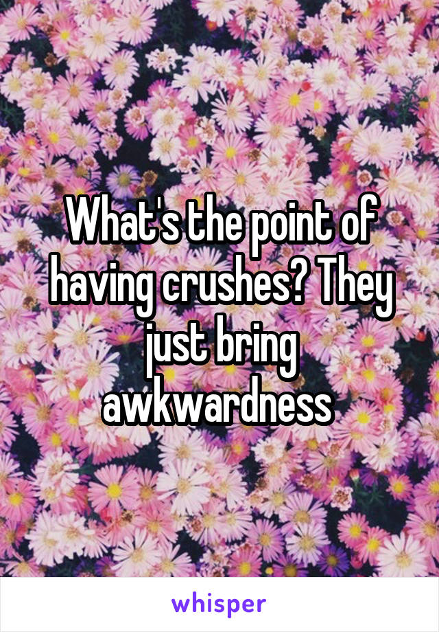 What's the point of having crushes? They just bring awkwardness 