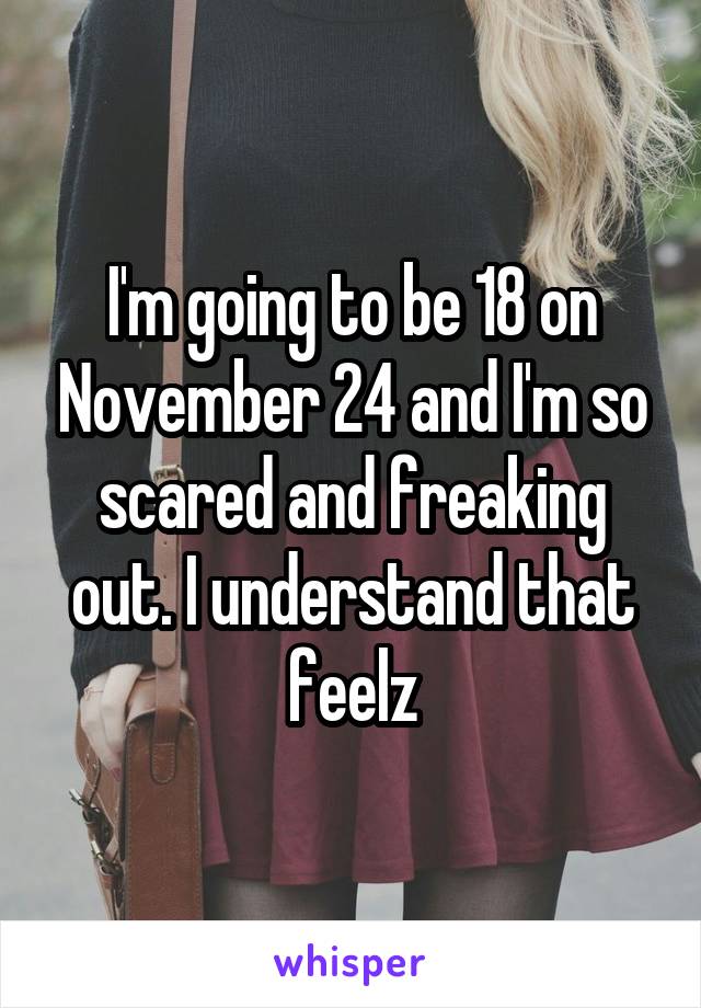 I'm going to be 18 on November 24 and I'm so scared and freaking out. I understand that feelz