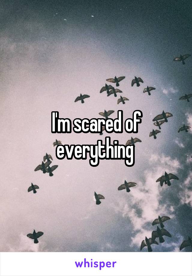 I'm scared of everything 