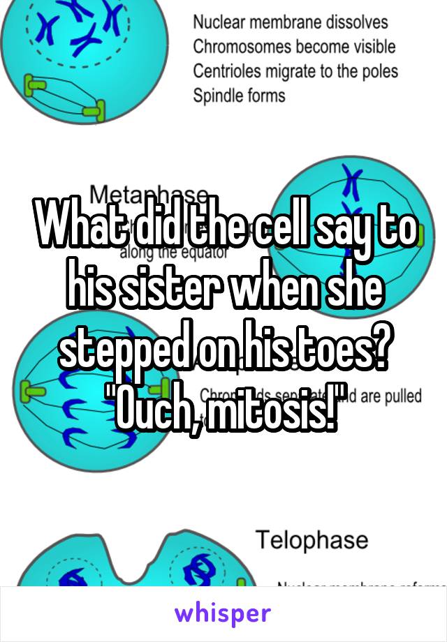 What did the cell say to his sister when she stepped on his toes?
"Ouch, mitosis!"
