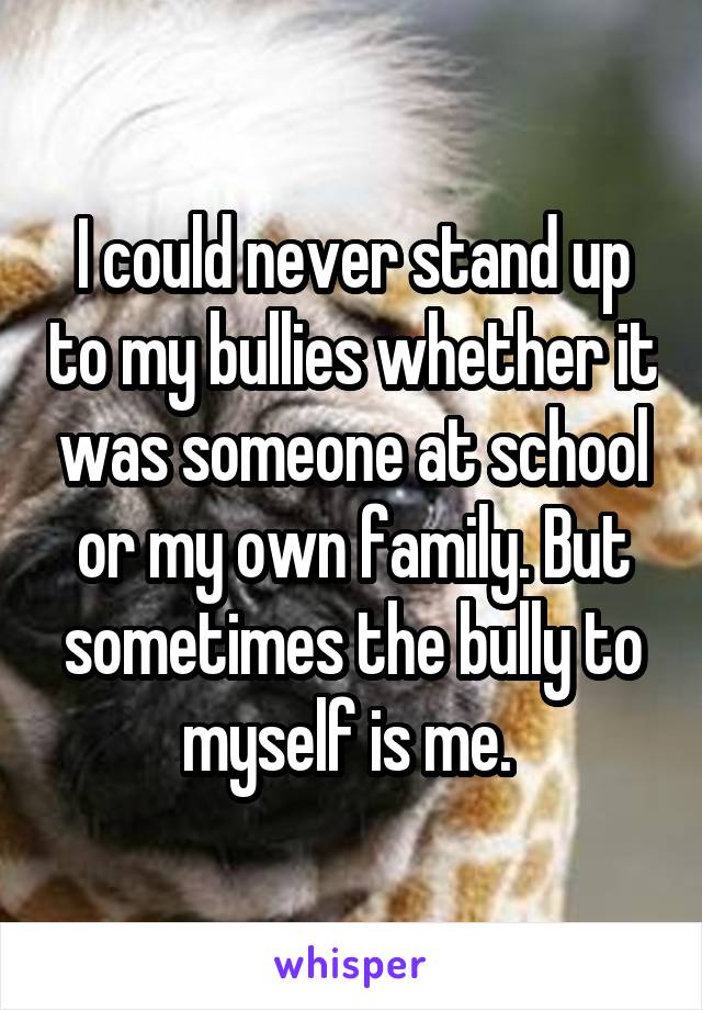 I could never stand up to my bullies whether it was someone at school or my own family. But sometimes the bully to myself is me. 