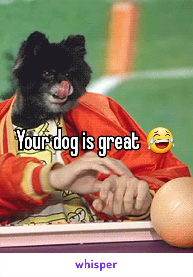 Your dog is great 😂
