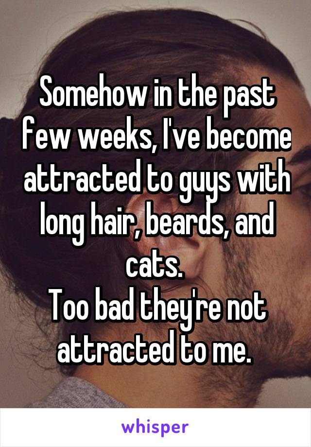 Somehow in the past few weeks, I've become attracted to guys with long hair, beards, and cats. 
Too bad they're not attracted to me. 