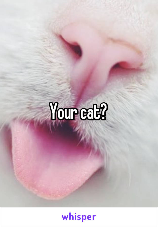 Your cat? 