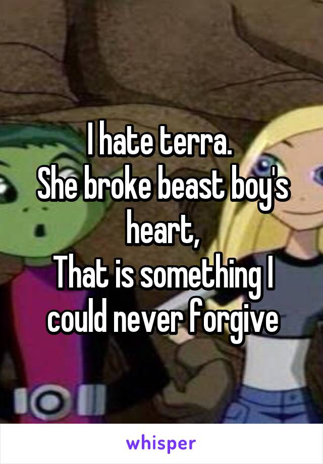 I hate terra. 
She broke beast boy's heart,
That is something I could never forgive