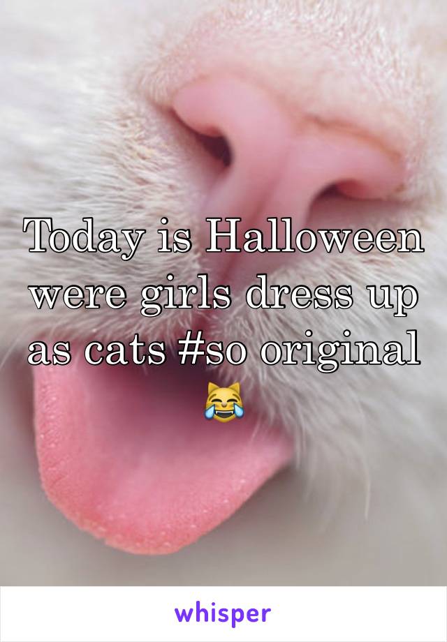 Today is Halloween were girls dress up as cats #so original 
😹