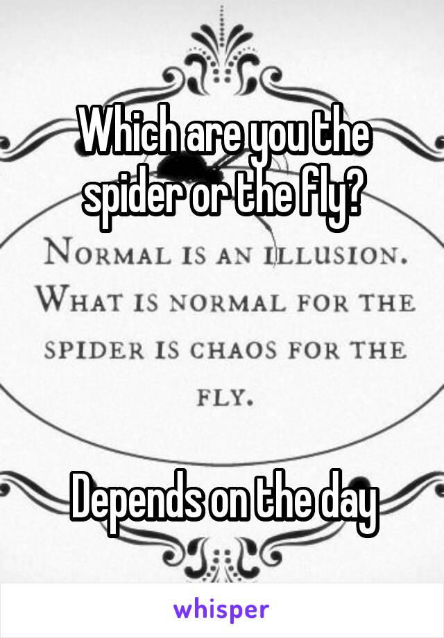 Which are you the spider or the fly?




Depends on the day