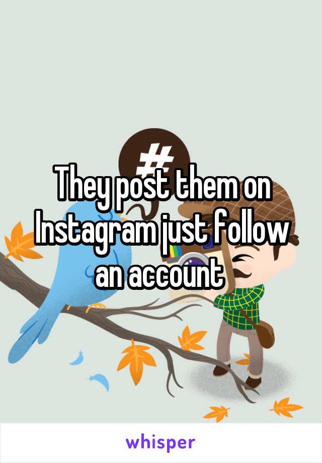 They post them on Instagram just follow an account 