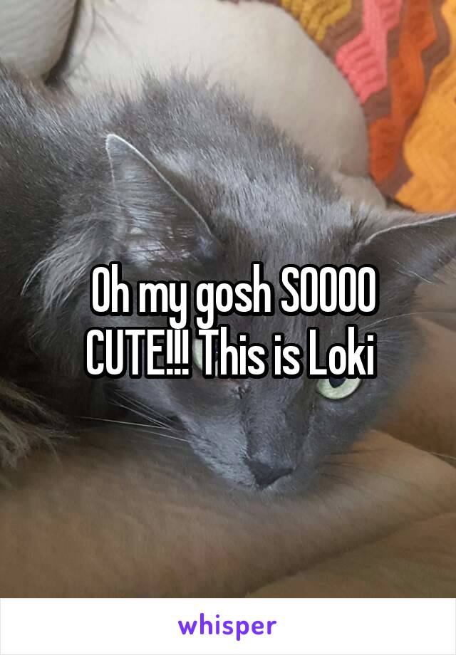  Oh my gosh SOOOO CUTE!!! This is Loki