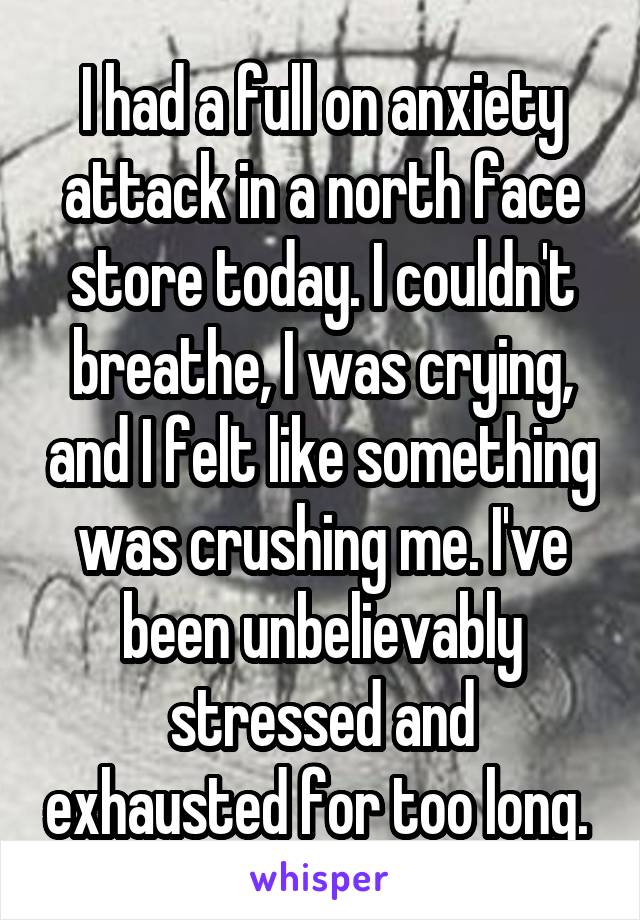 I had a full on anxiety attack in a north face store today. I couldn't breathe, I was crying, and I felt like something was crushing me. I've been unbelievably stressed and exhausted for too long. 
