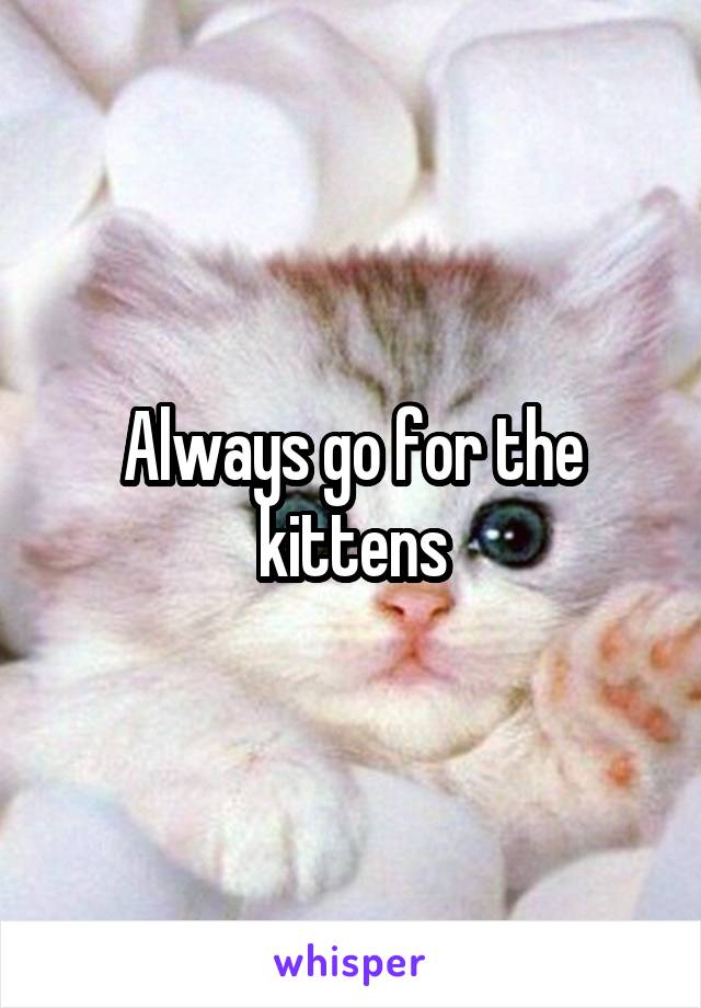 Always go for the kittens