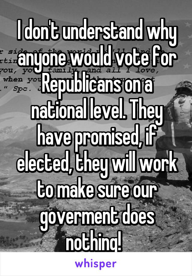 I don't understand why anyone would vote for Republicans on a national level. They have promised, if elected, they will work to make sure our goverment does nothing!  