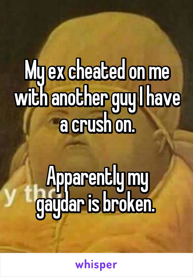 My ex cheated on me with another guy I have a crush on.

Apparently my
gaydar is broken. 