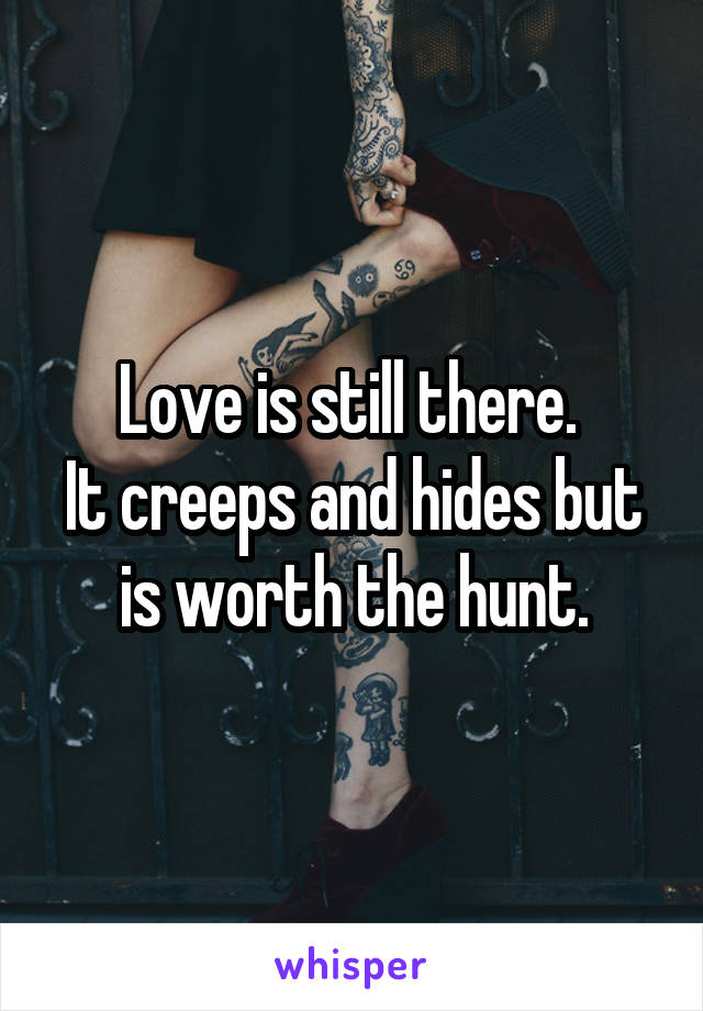 Love is still there. 
It creeps and hides but is worth the hunt.