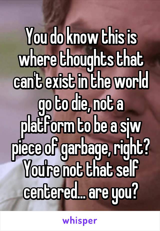 You do know this is where thoughts that can't exist in the world go to die, not a platform to be a sjw piece of garbage, right? You're not that self centered... are you?