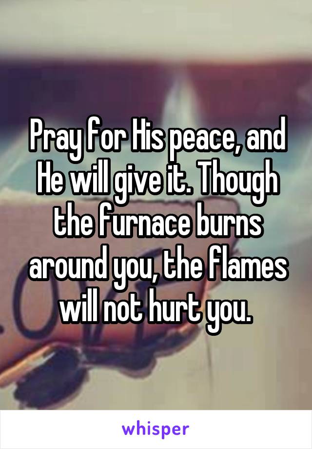 Pray for His peace, and He will give it. Though the furnace burns around you, the flames will not hurt you. 