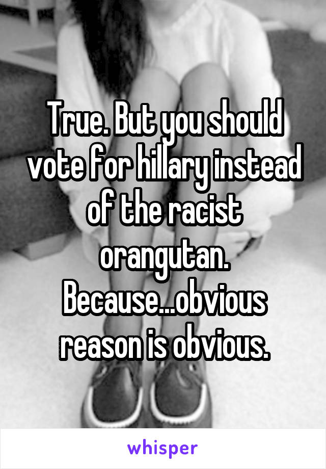 True. But you should vote for hillary instead of the racist orangutan. Because...obvious reason is obvious.