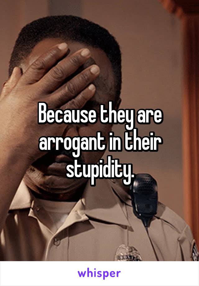 Because they are arrogant in their stupidity.