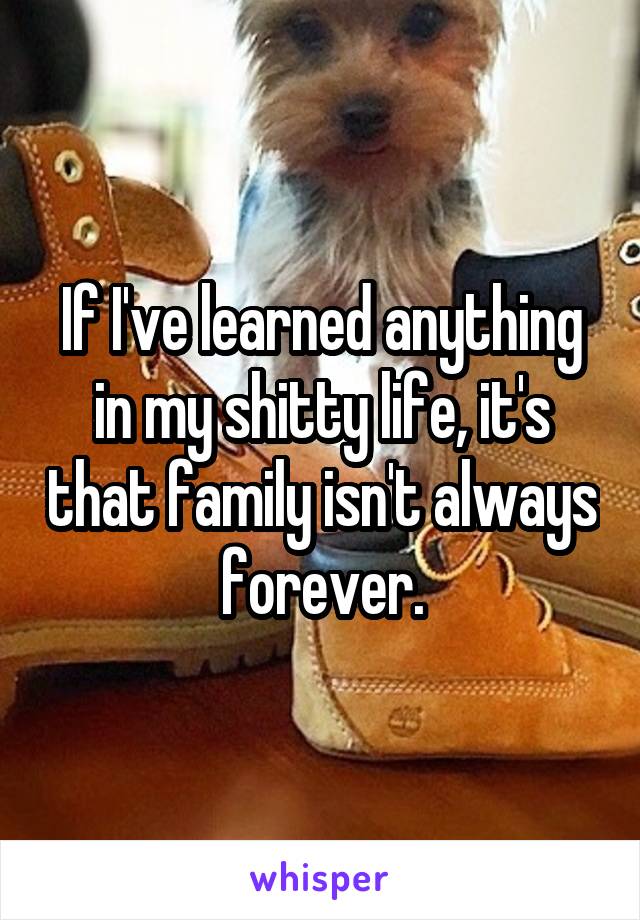 If I've learned anything in my shitty life, it's that family isn't always forever.