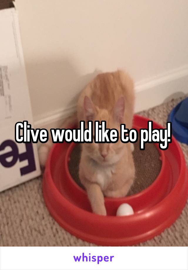 Clive would like to play! 