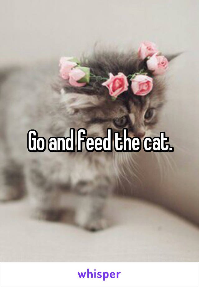 Go and feed the cat.