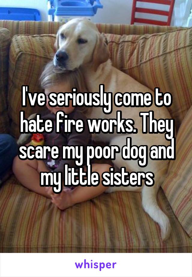 I've seriously come to hate fire works. They scare my poor dog and my little sisters