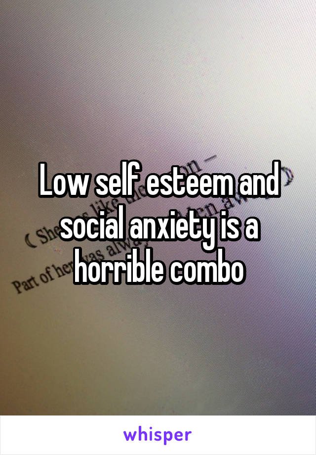 Low self esteem and social anxiety is a horrible combo